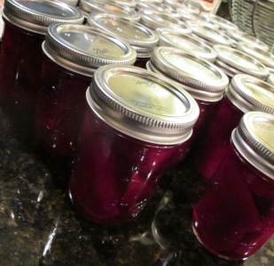 Waiting for canning